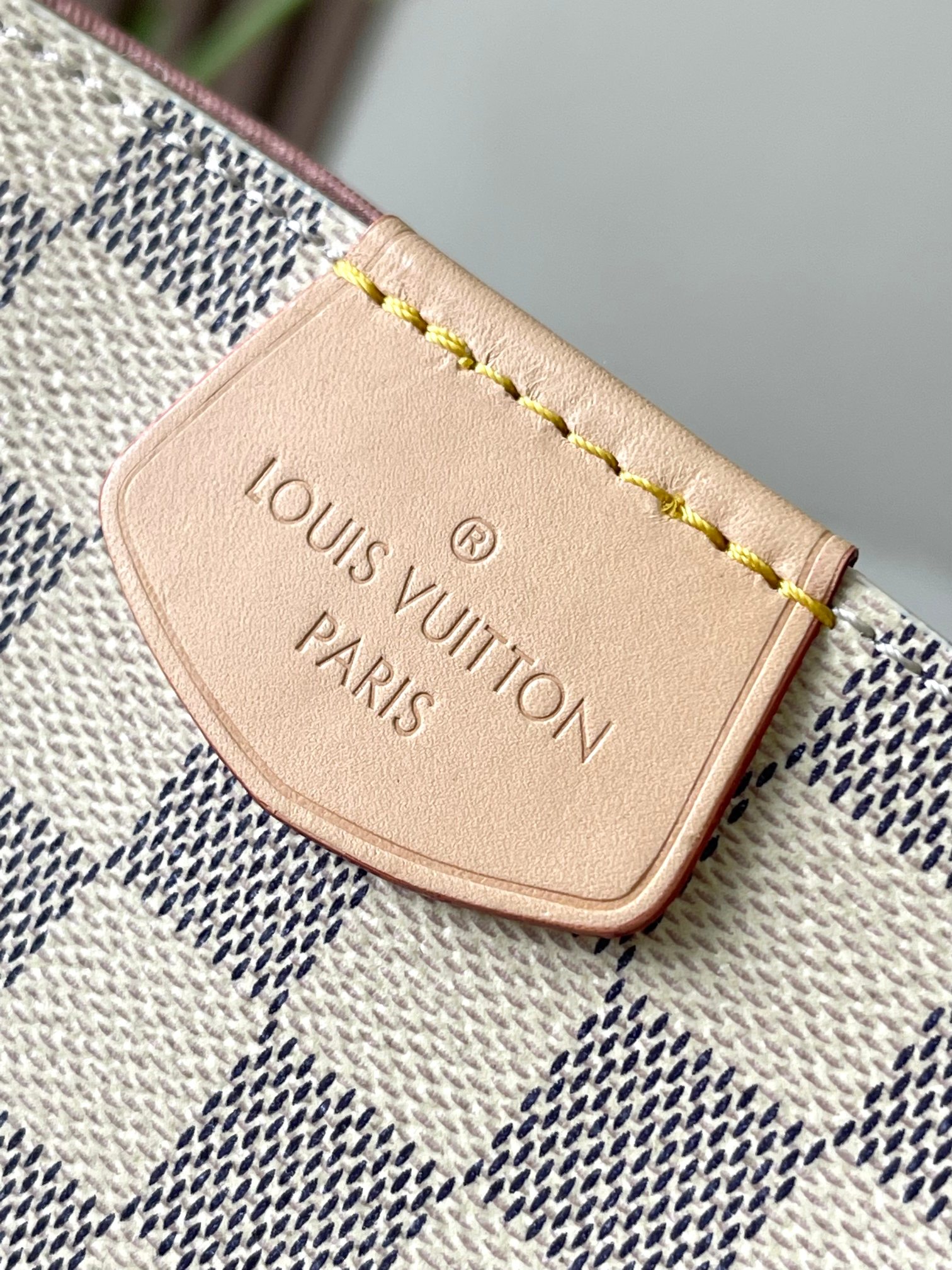 Louis Vuitton Shopping Bags